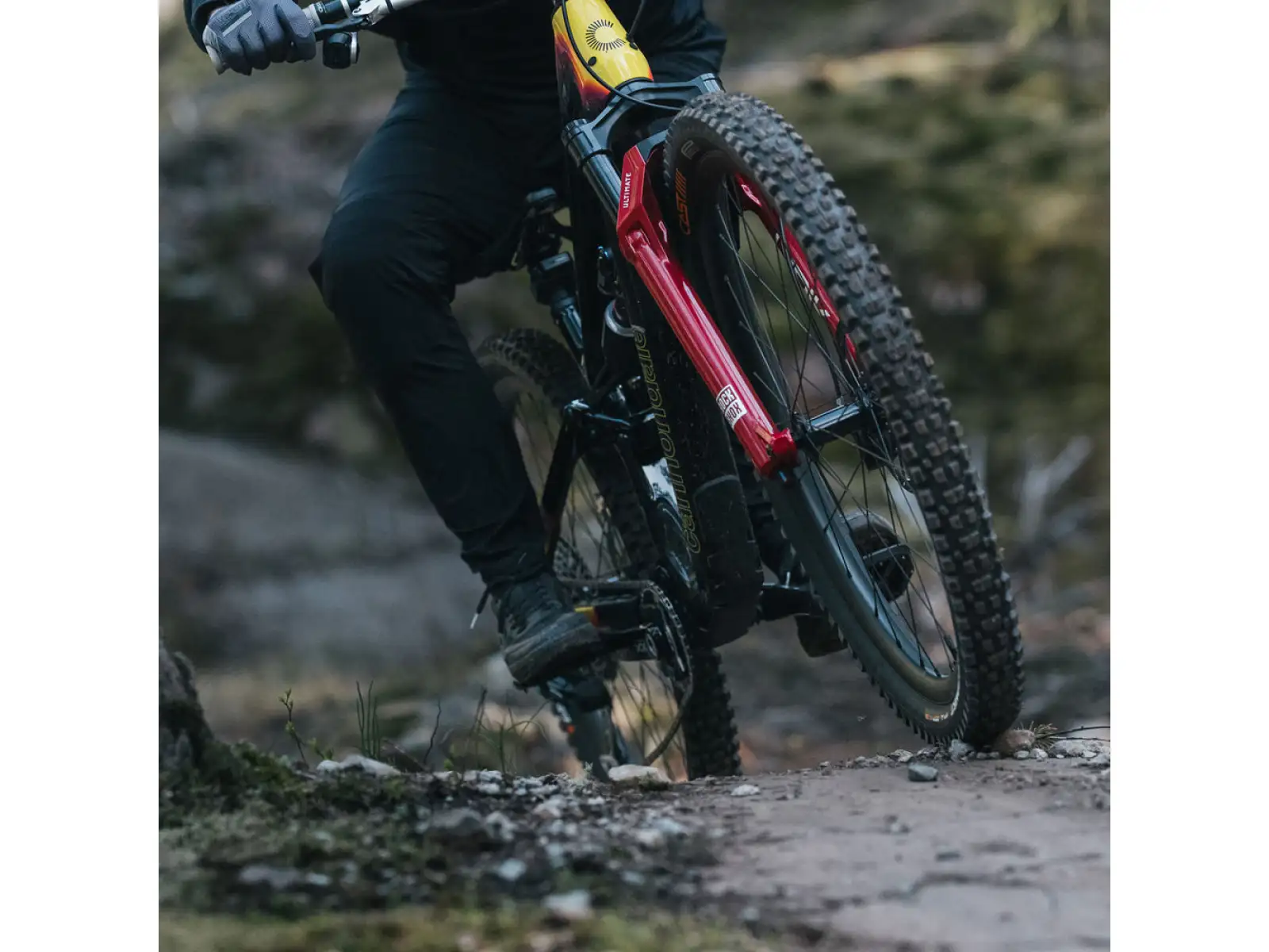 Ochain R Spider Damper SR 8B černý