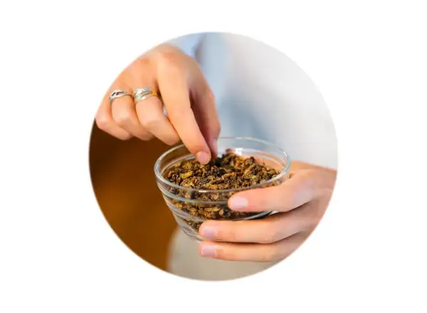Grig křupaví cvrčci Chilli & lime 20 g