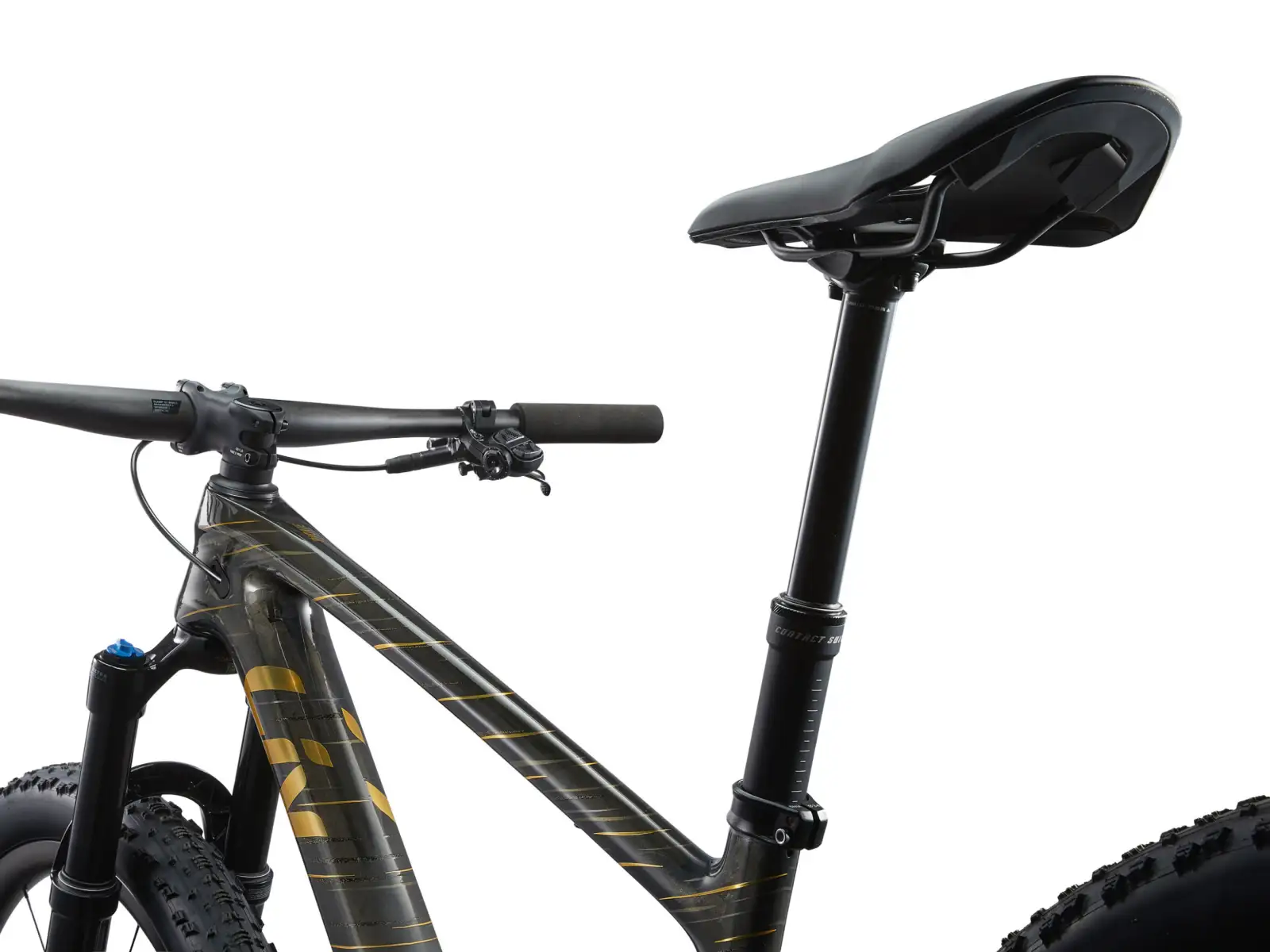 Liv Pique Advanced 29 1 horské kolo Raw Carbon