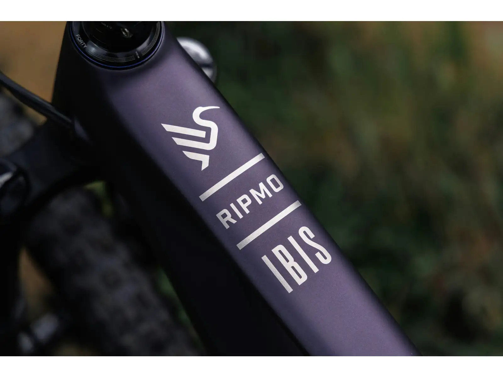 Ibis Ripmo V3 XT Di2 horské kolo Heckleberry Purple
