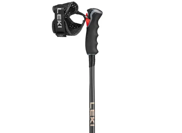 Leki Artena Airfoil 3D sjezdové hole Black/Dark Anthracite/Rosegold