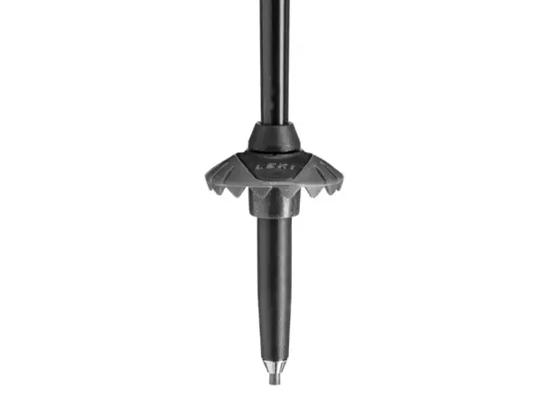 Leki Detect S Vario sjezdové hole Warm Grey Light/Warm Grey Dark/Black