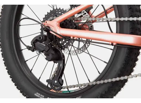 Cannondale Trail Plus 20 dětské kolo Salmon