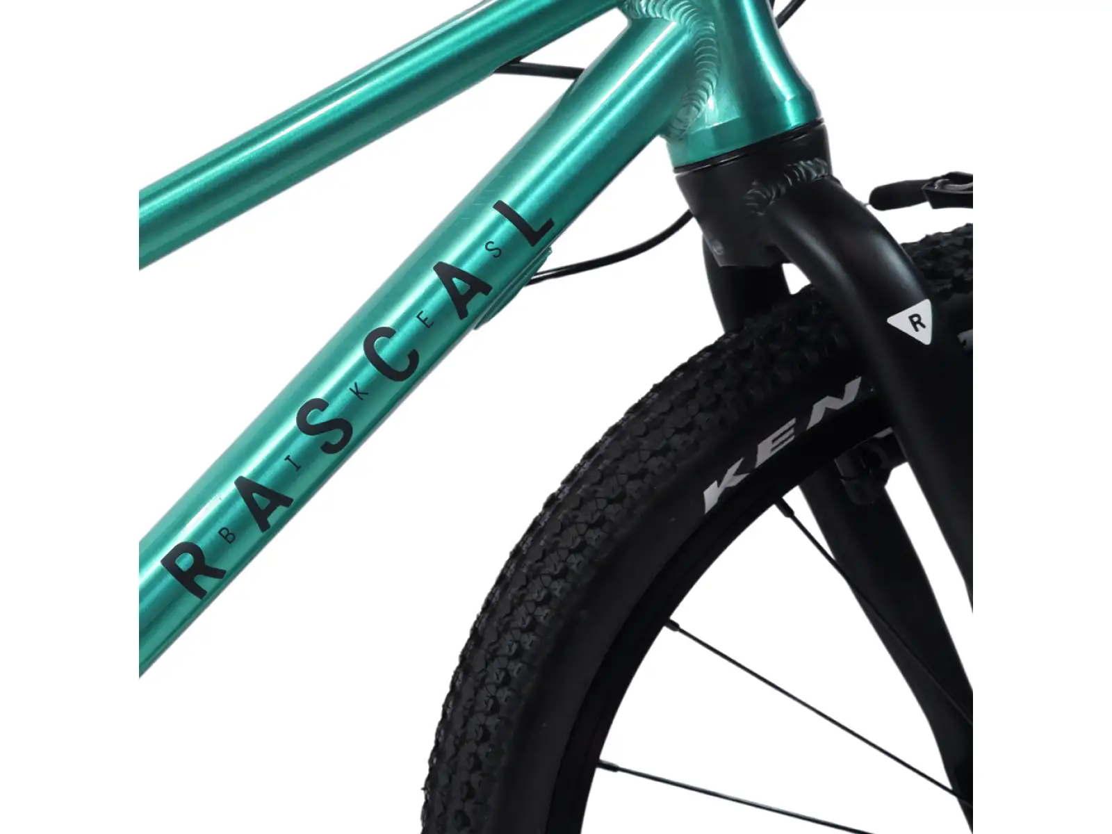 Rascal 20 Limited dětské kolo Emerald