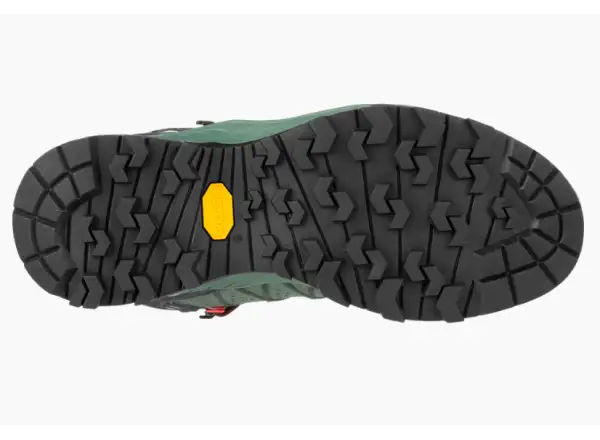 Salewa Alp Trainer 2 Mid GTX dámské boty Duck Green/Rhododendon