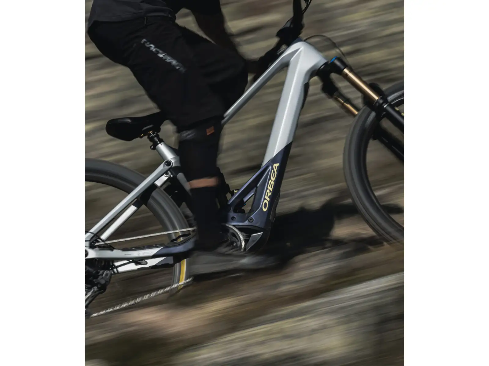 Orbea Wild M20 horské elektrokolo Halo Silver/Tanzanite Carbon