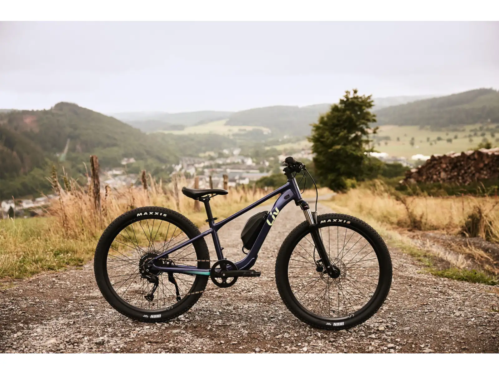 Liv Tempt E+ Junior 26 dětské elektrokolo Milky Way