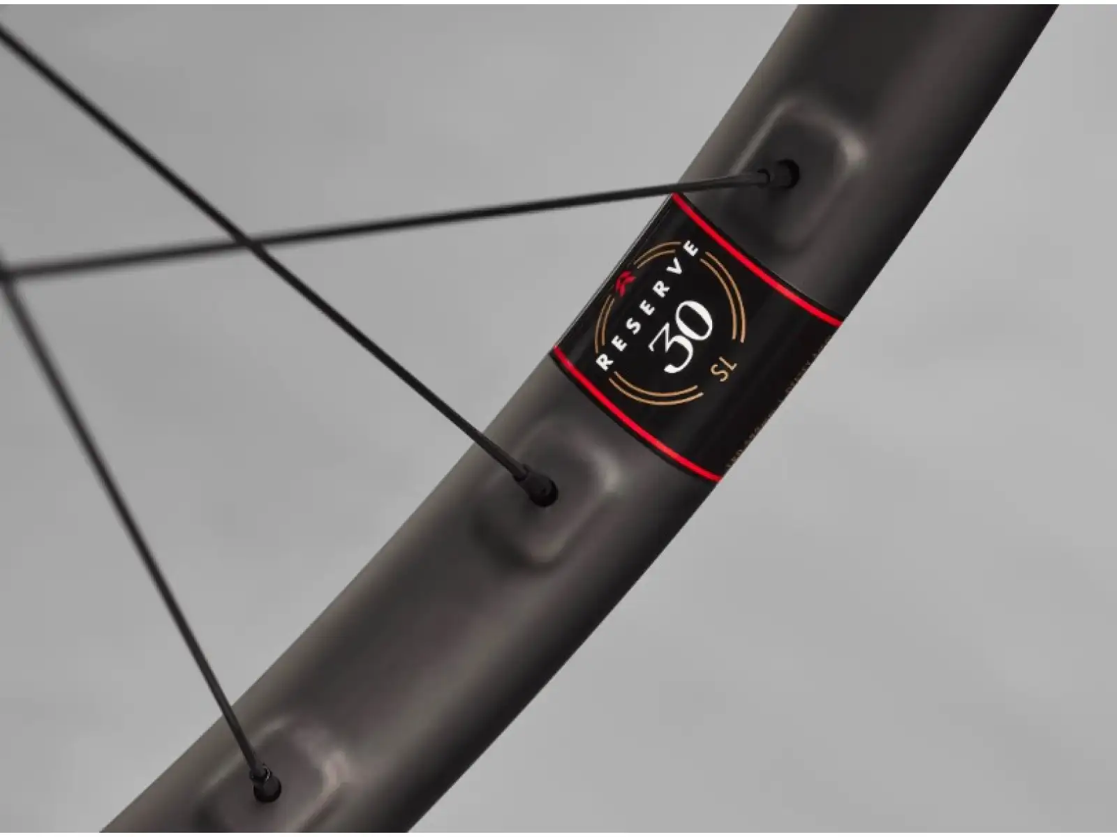 Reserve 30/SL DT 350 6děr 29" vypletená kola ořech XD