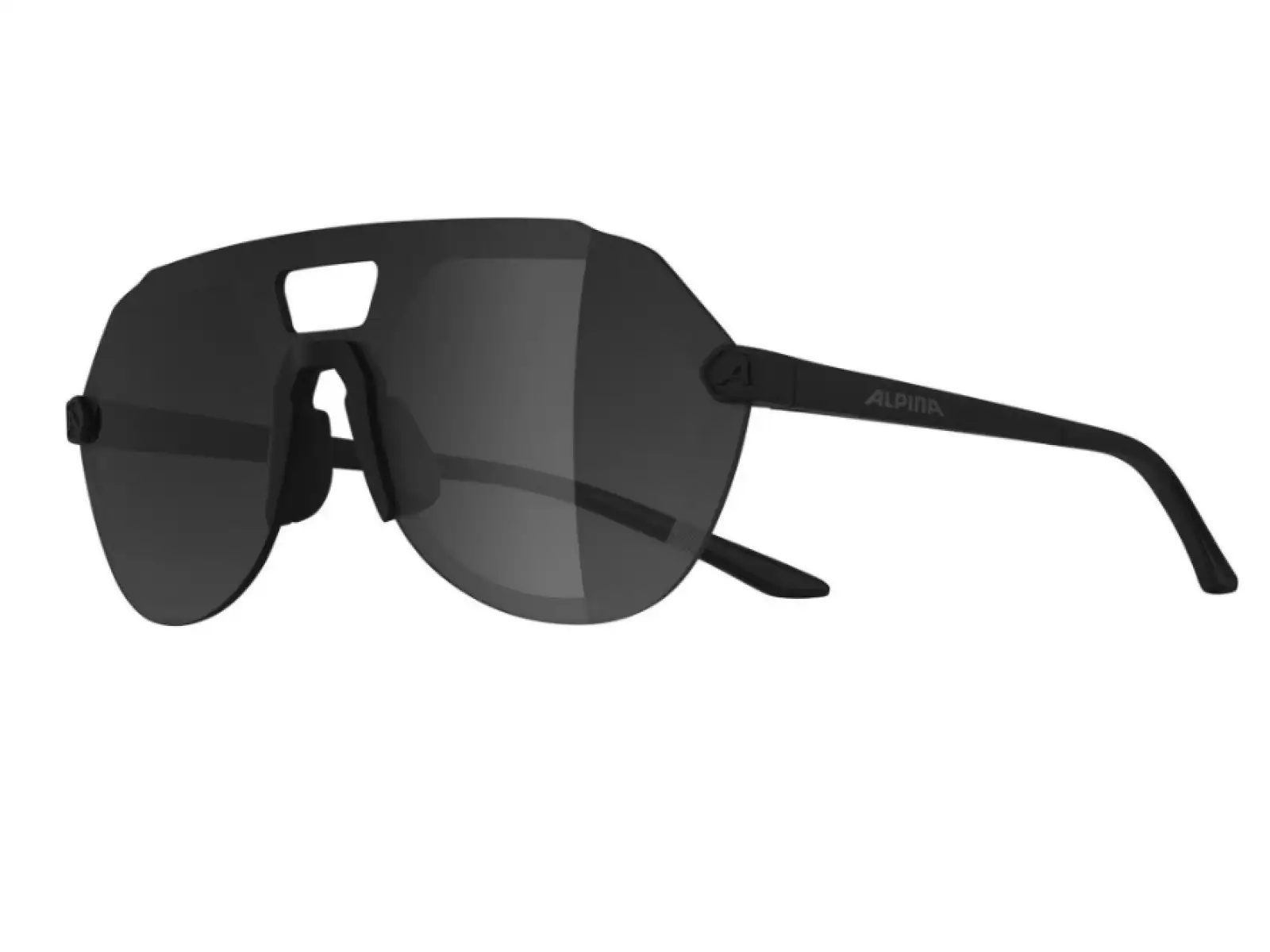 Alpina Beam II brýle All Black Matt