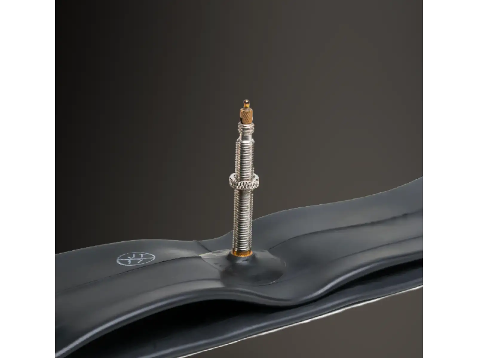WTB Presta duše 700x28/38c