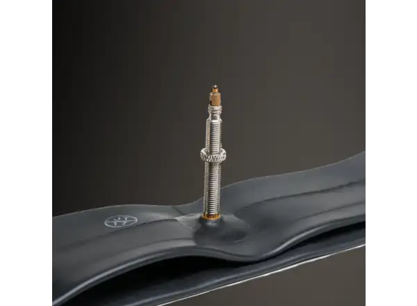 WTB Presta duše 700x28/38c