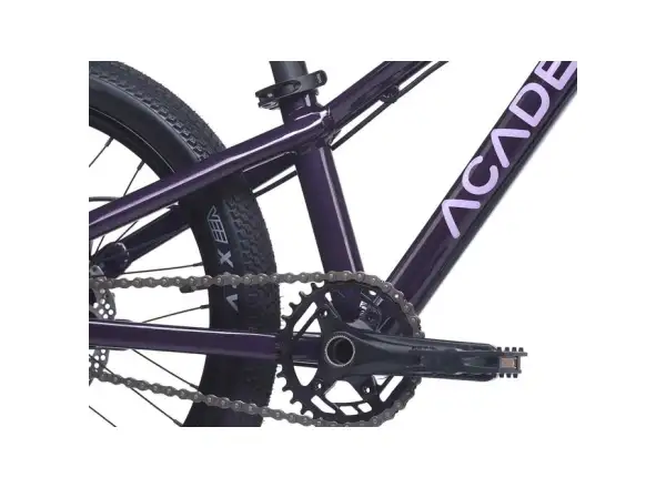 Academy S-Grade Pump 4 dětské kolo 20" fialová