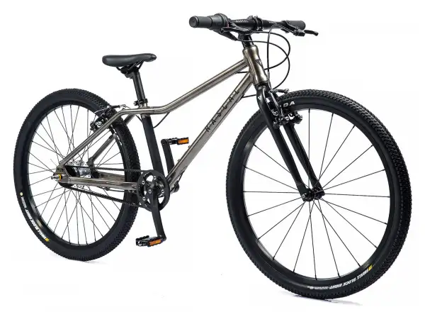Rascal 26 7 sp. Shimano Nexus dětské kolo Titanium
