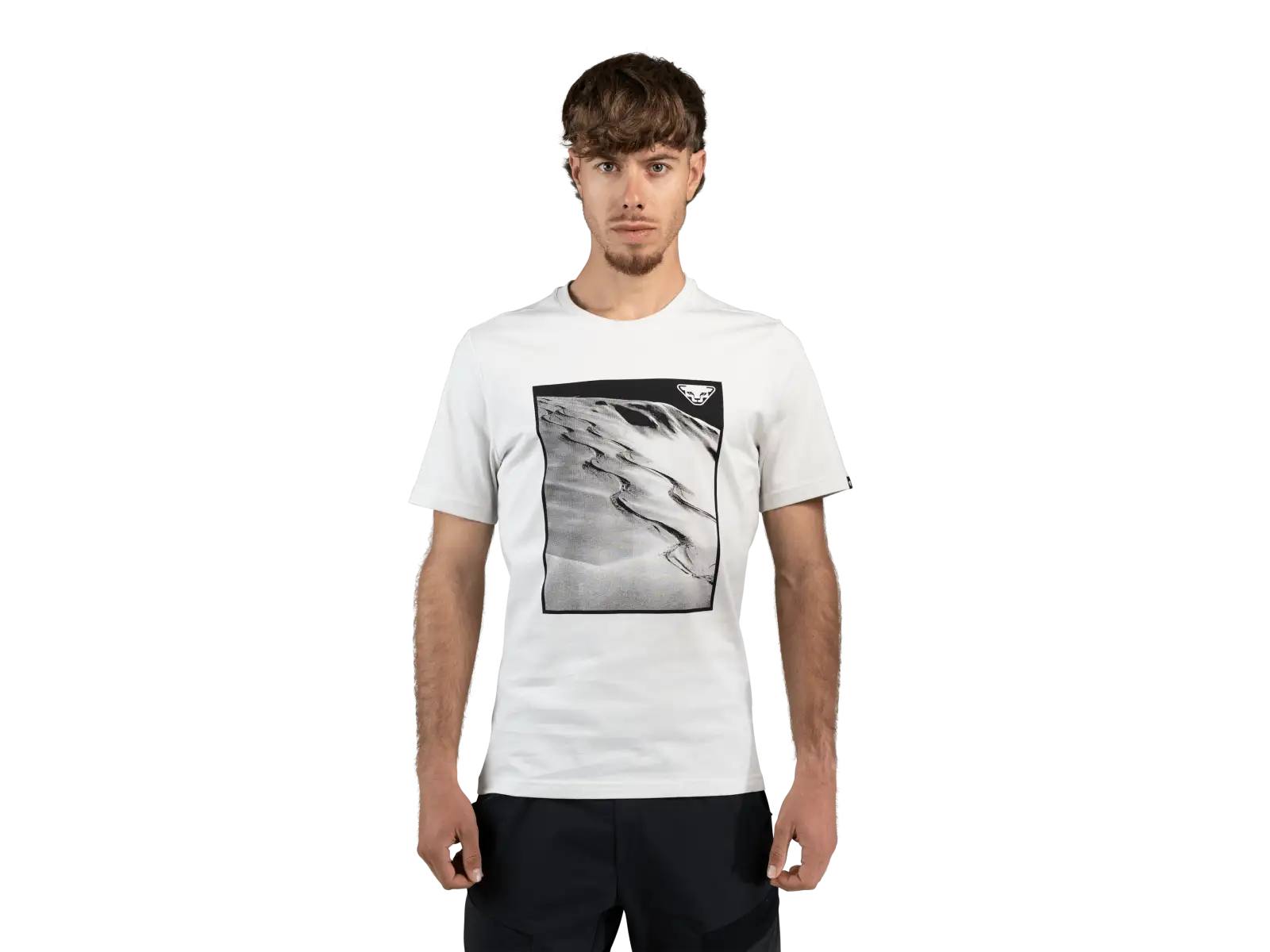 Dynafit Graphic Cotton pánské triko krátký rukáv Nimbus/First Track