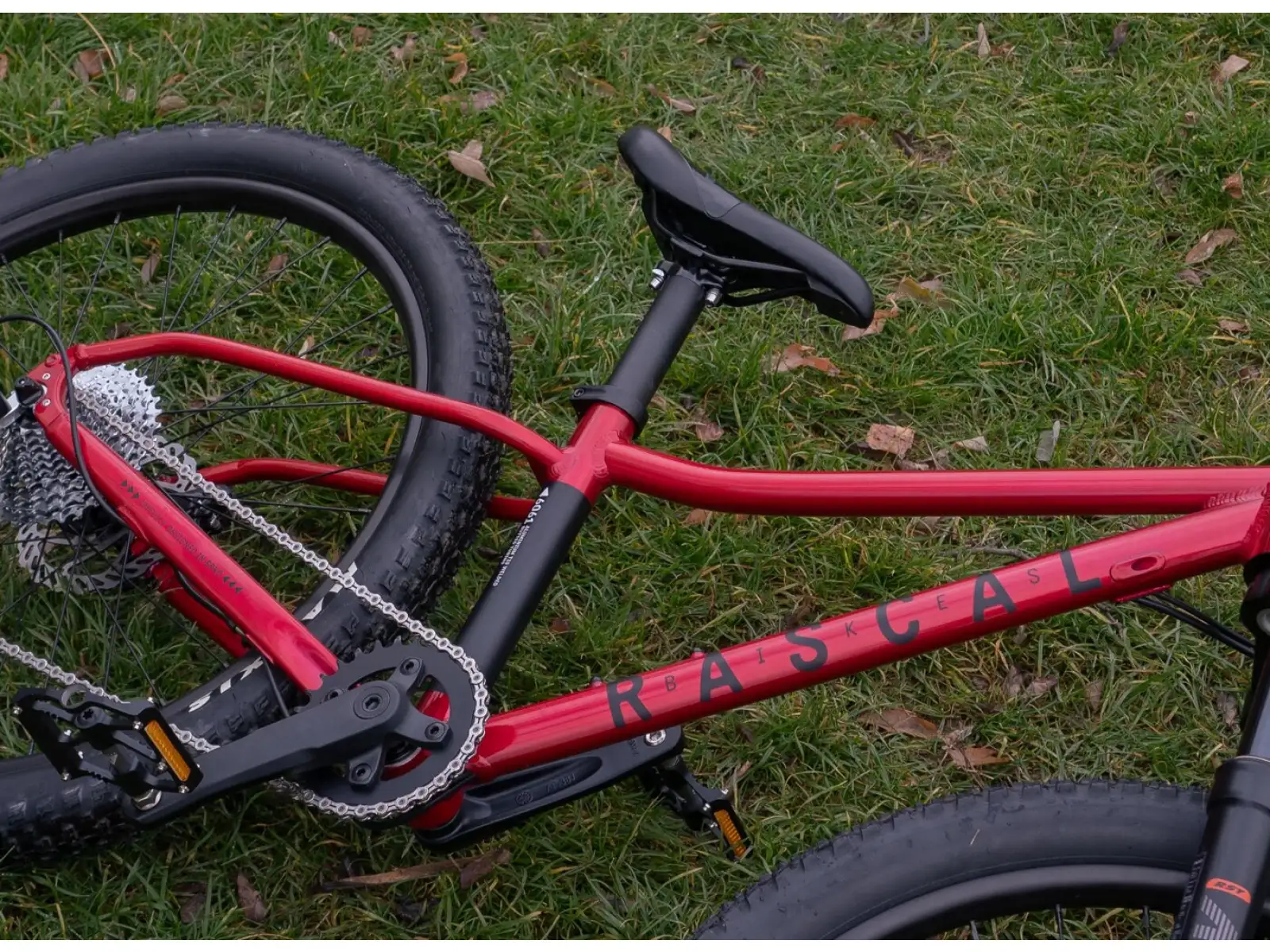 Rascal Wild 20 dětské kolo Ruby Red