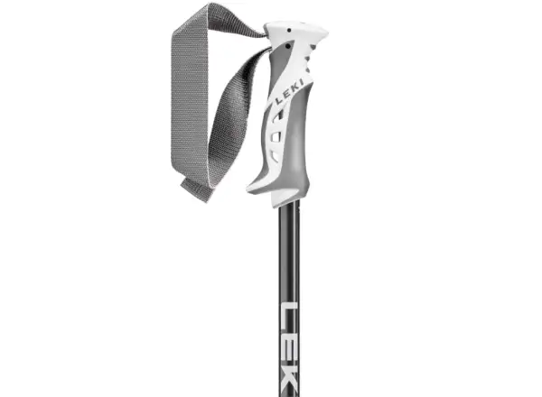 Leki Bliss sjezdové hole Gunmetal/Dark Anthracite/White