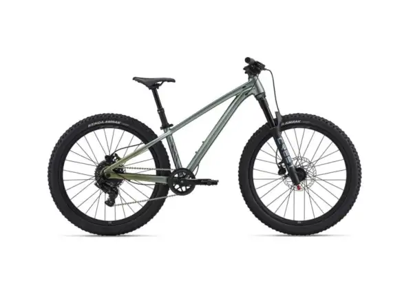 Liv STP 24 dětské horské kolo Alpine Green