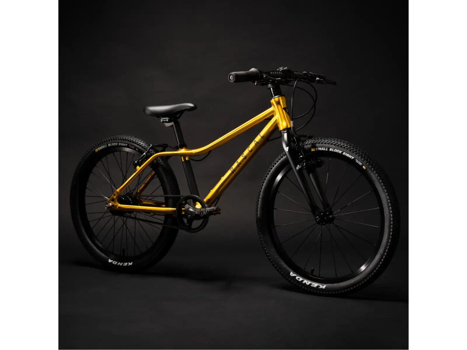 Rascal 20 dětské kolo Gold