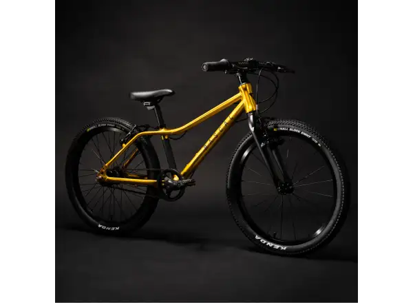 Rascal 20 dětské kolo Gold