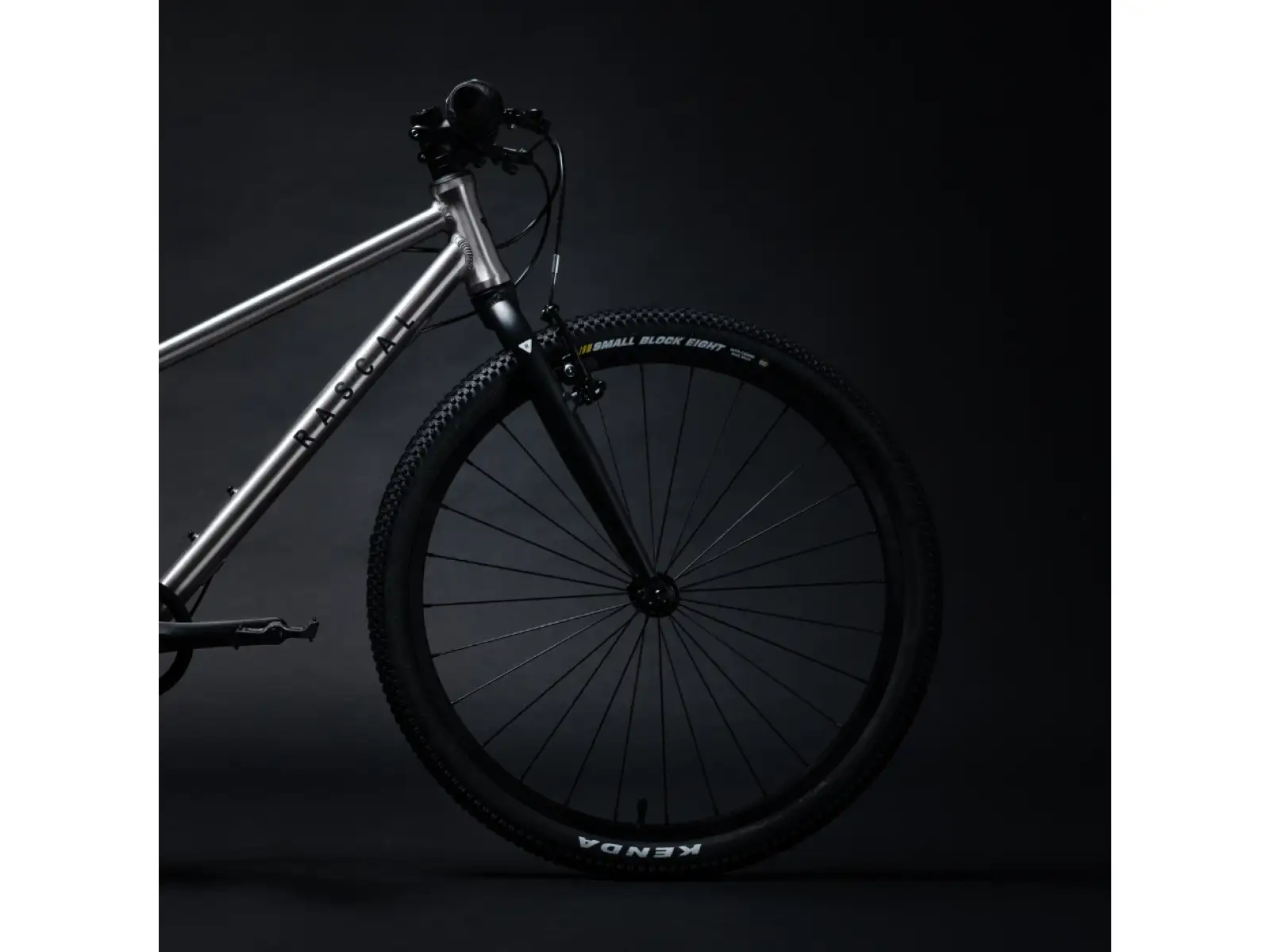 Rascal 24 7 sp. Shimano Nexus dětské kolo Titanium