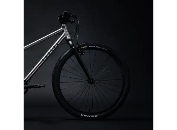 Rascal 24 7 sp. Shimano Nexus dětské kolo Titanium