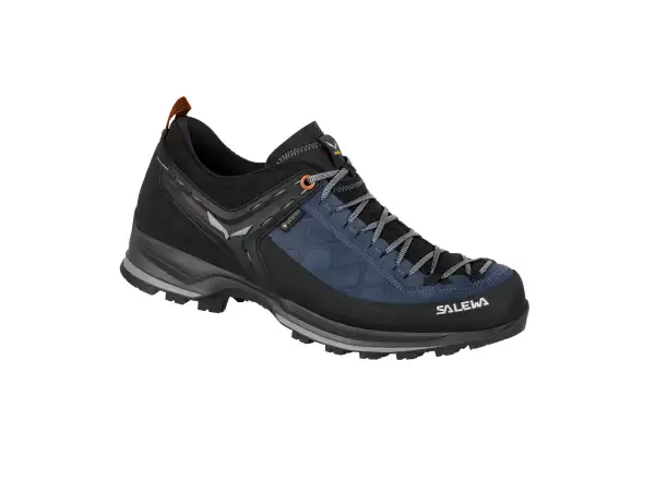 Salewa Mountain Trainer 2 GTX pánské turistické boty Blue Seal/Black