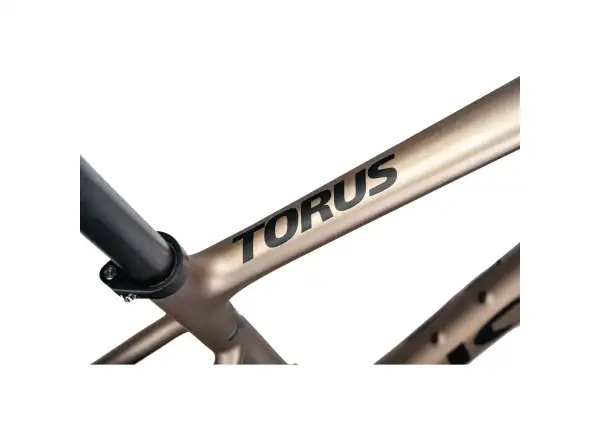Isaac Torus Xplore gravel kolo GRX825 Di2 1x12 Blast Bronze