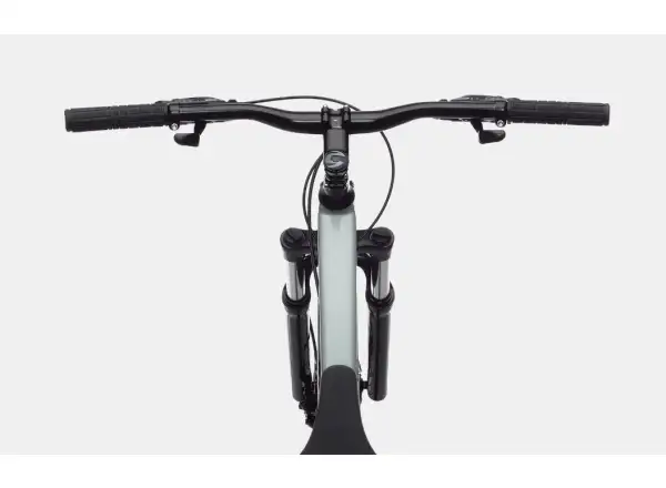 Cannondale Trail Womens 8 29" dámské horské kolo Sage Gray