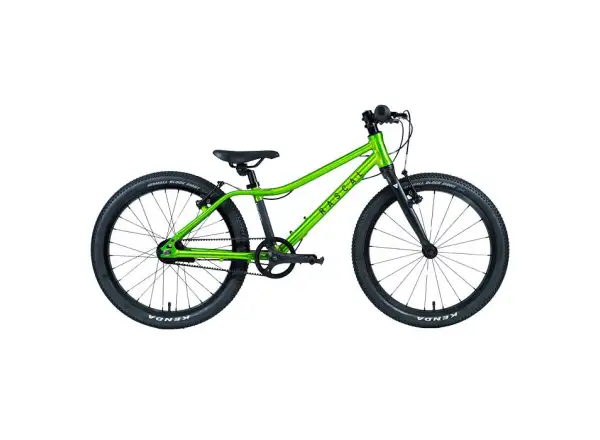 Rascal 20 dětské kolo Sapphire Limited