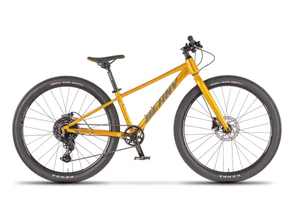Beany Blaster XC 26 dětské kolo Gold