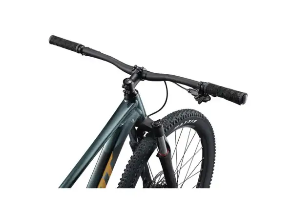 Giant Talon 29 2 horské kolo Asphalt Green