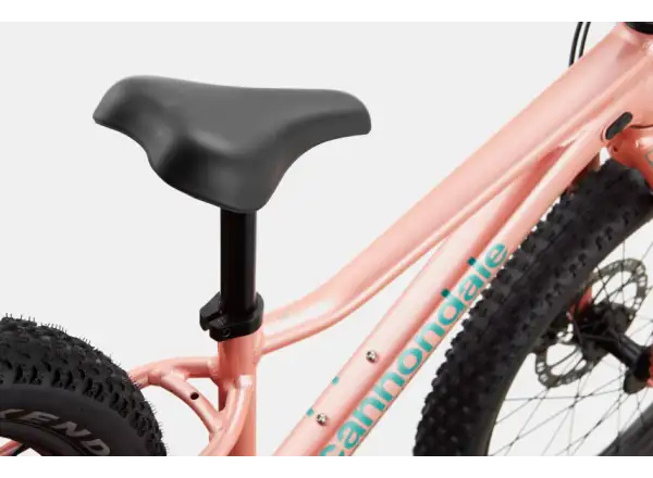 Cannondale Trail Plus 20 dětské kolo Salmon