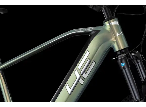 4EVER Exstream Team 820 horské elektrokolo Snake green/hologram