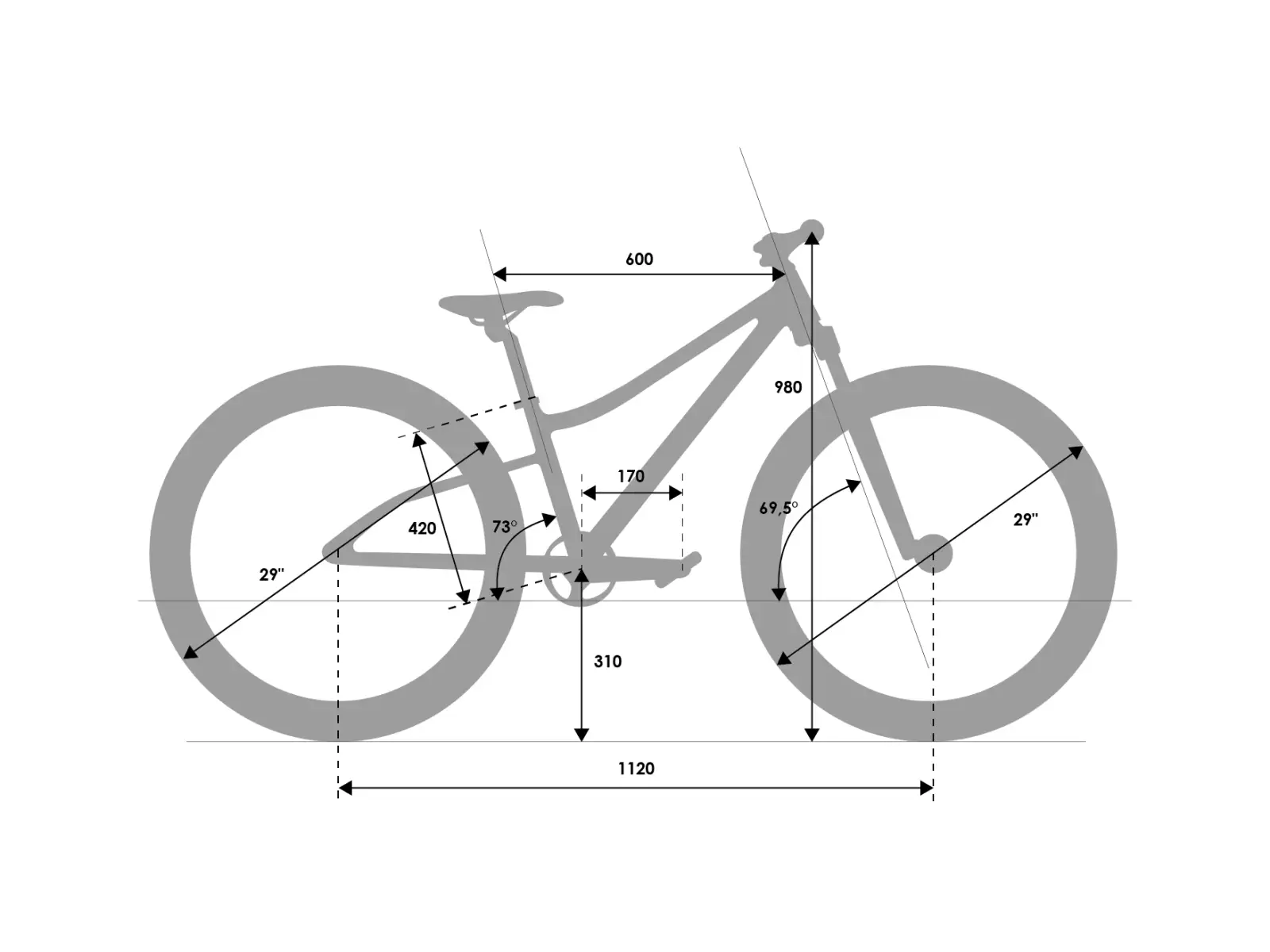 Rascal Wild 29 Limited dětské kolo Silver