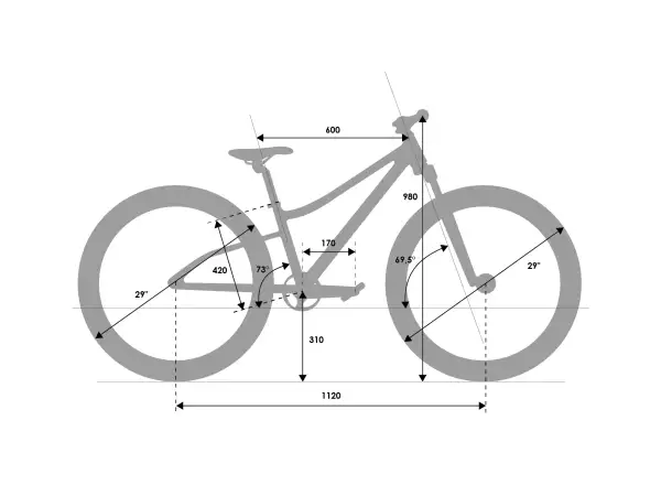 Rascal Wild 29 Limited dětské kolo Silver