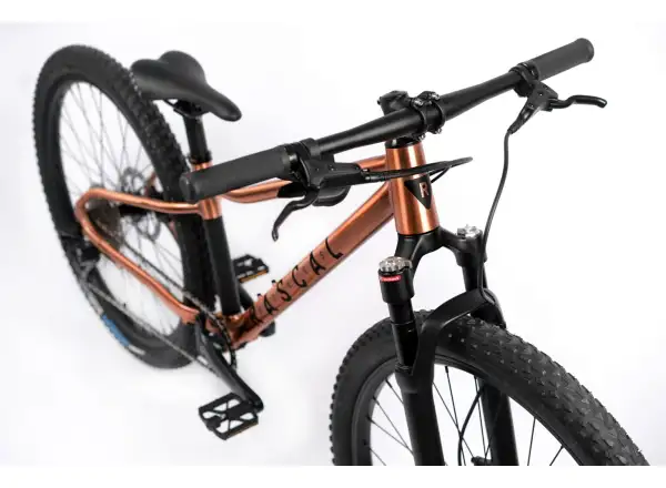 Rascal Wild 26 dětské kolo Bronze