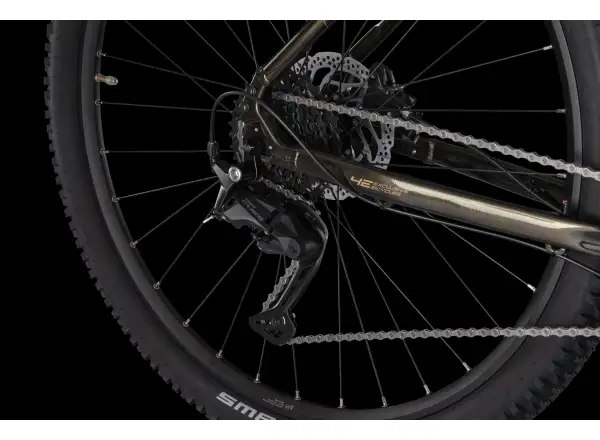 4Ever Frontbee XCM 29" horské kolo Gold galaxy