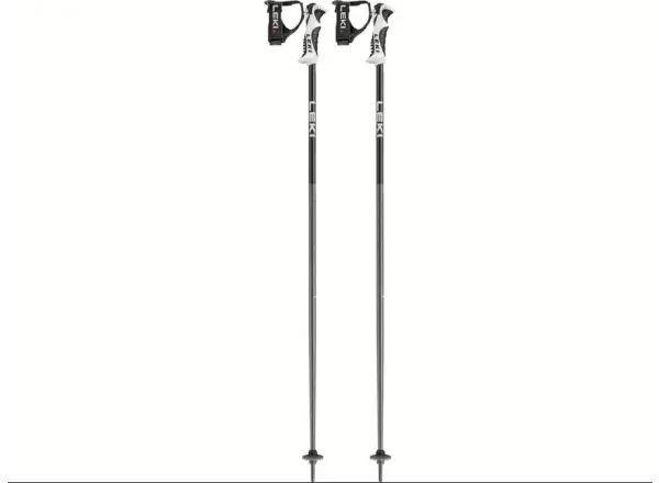 Leki Bold S sjezdové hole Dark Anthracite/Black/White