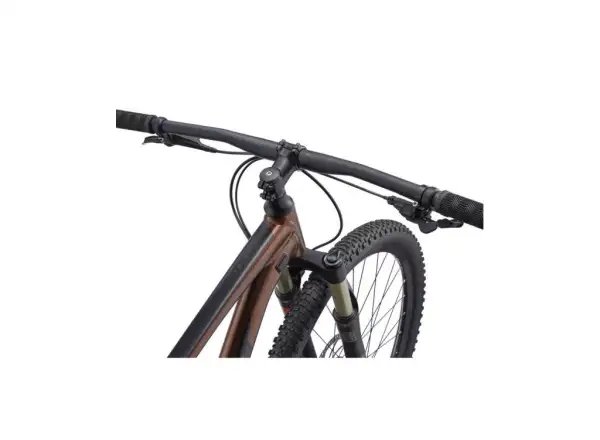 Giant Talon 29 1 GE Hematite horské kolo