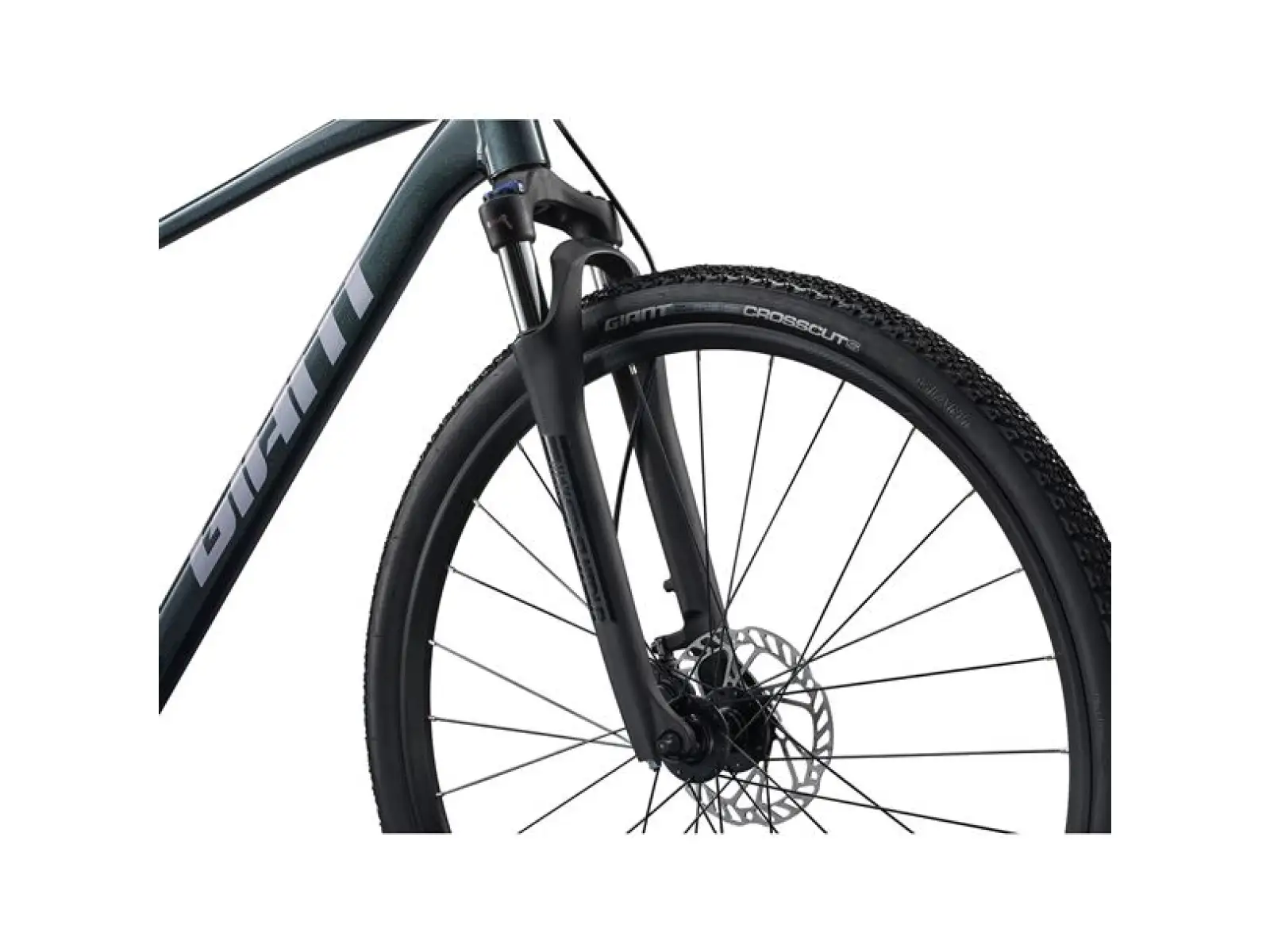Giant Roam 2 trekingové kolo Asphalt Green