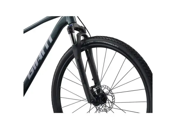 Giant Roam 2 trekingové kolo Asphalt Green