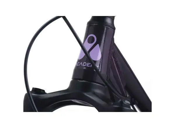 Academy S-Grade Pump 5 dětské kolo 24" fialová