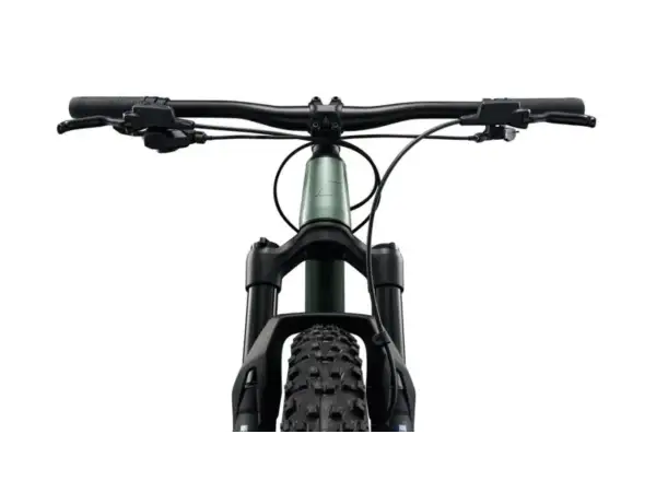 Liv STP 24 dětské horské kolo Alpine Green