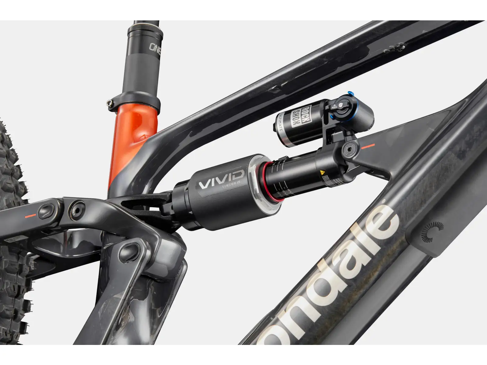 Cannondale Bad Habit 1 horské kolo RAW Carbon