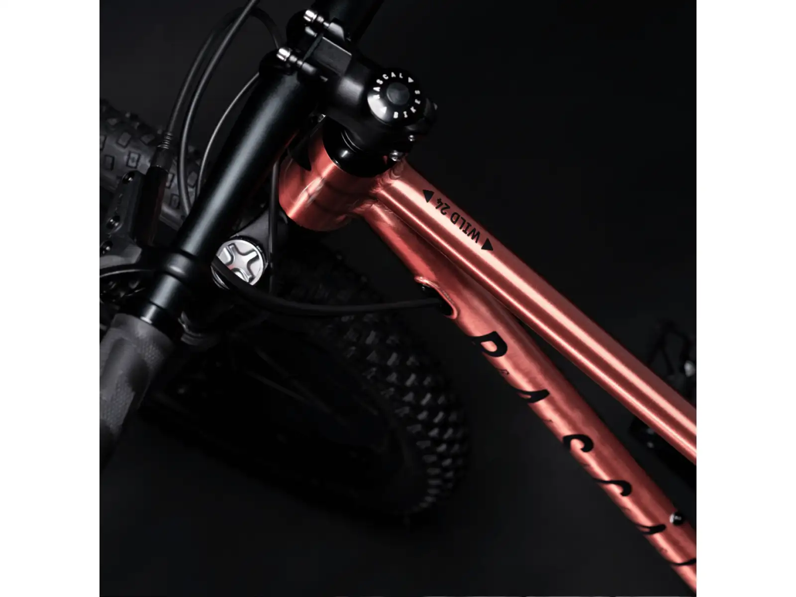 Rascal Wild 24 dětské kolo Bronze
