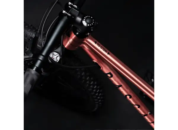 Rascal Wild 24 dětské kolo Bronze