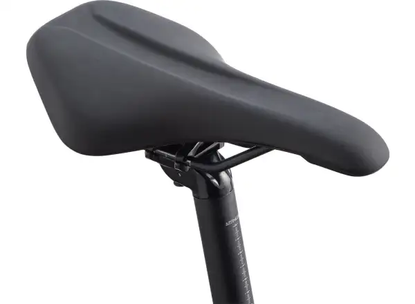 Giant Roam 2 Disc Black trekingové kolo