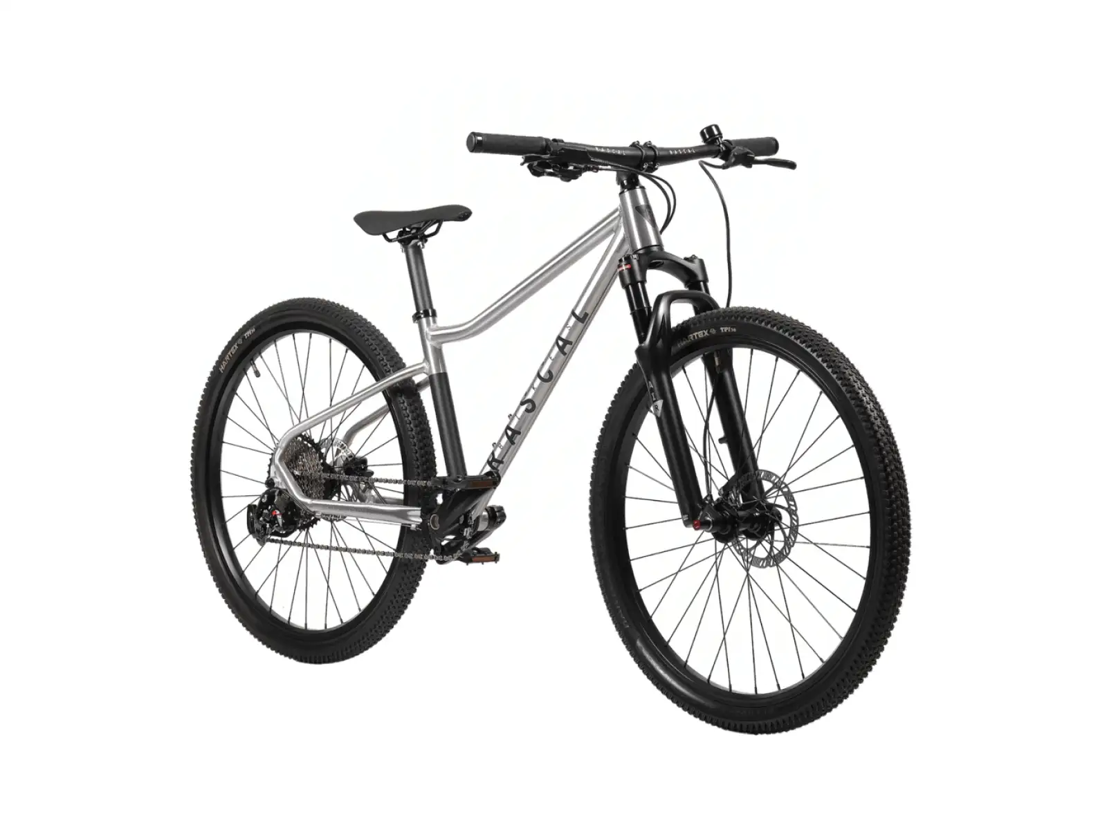 Rascal Wild 27 Limited dětské kolo Silver