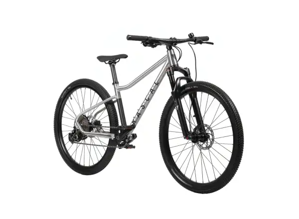 Rascal Wild 27 Limited dětské kolo Silver