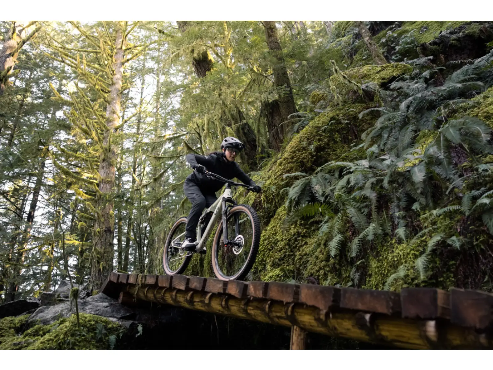Liv Embolden 2026 horské kolo Pale Moss
